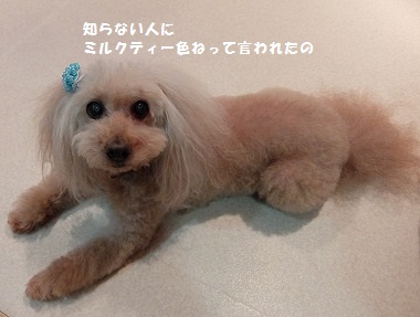 DSCF1586.jpg