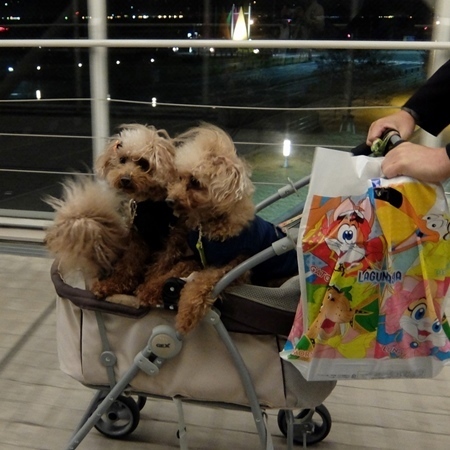 DSCF1591.jpg