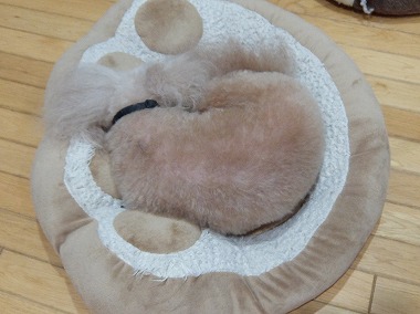 DSCF1601.jpg
