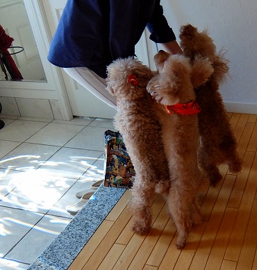 DSCF1609.jpg