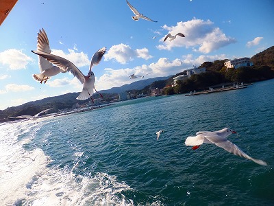 DSCF1729.jpg