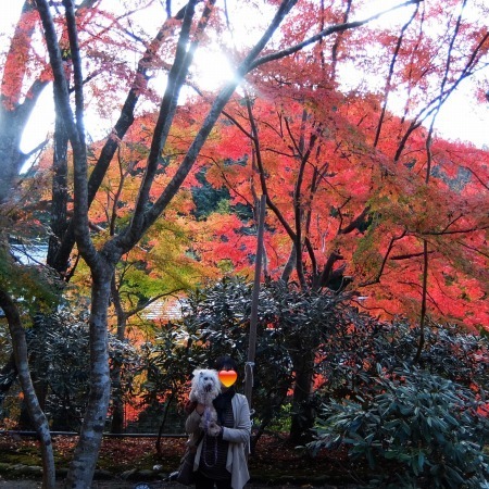 DSCF1782.jpg