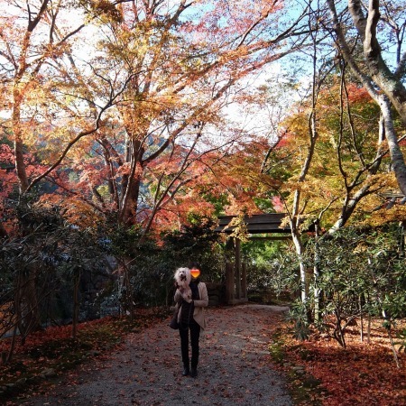 DSCF1784.jpg