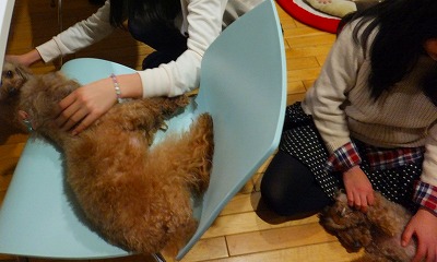 DSCF19371.jpg
