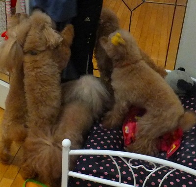 DSCF21301.jpg