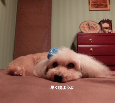 DSCF2177.jpg