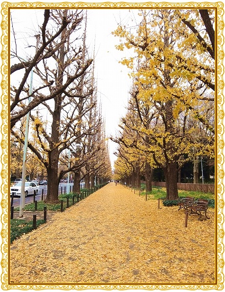 DSCF21861.jpg