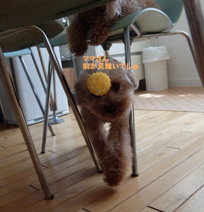DSCF2190.jpg