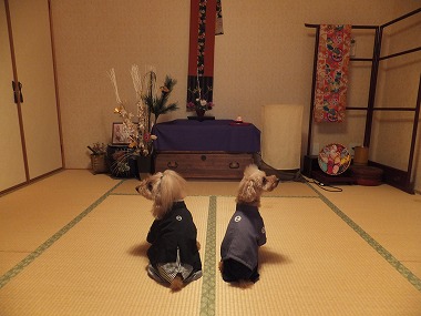 DSCF2196.jpg