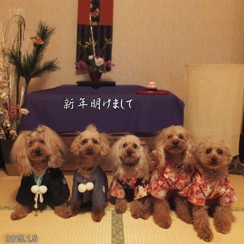 DSCF22051.jpg