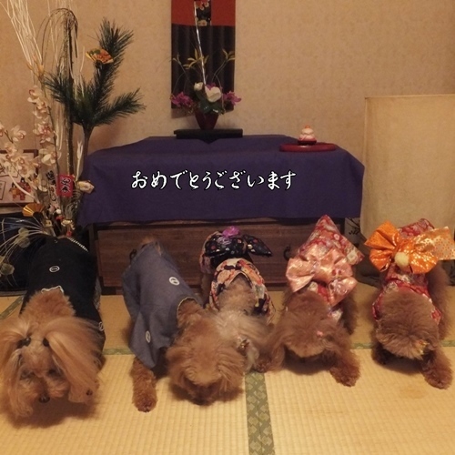 DSCF22111.jpg