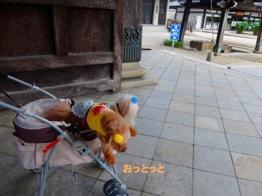 DSCF2212.jpg