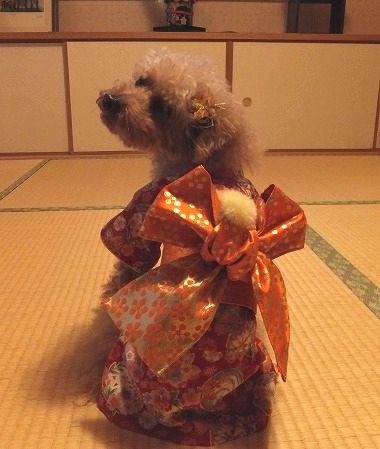 DSCF22301.jpg