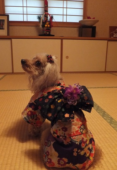 DSCF22311.jpg