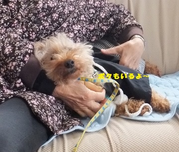 DSCF22801.jpg