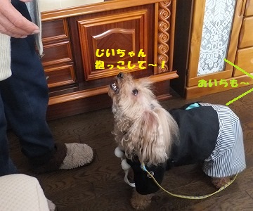 DSCF2282.jpg