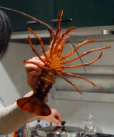 DSCF2283.jpg