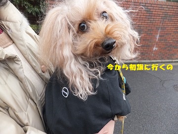 DSCF2286.jpg
