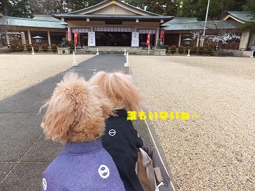 DSCF2287.jpg