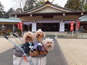 DSCF22951.jpg