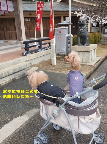 DSCF23211.jpg