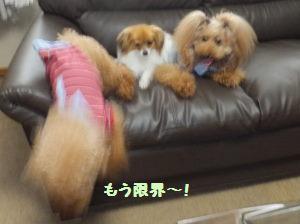 DSCF2333.JPG