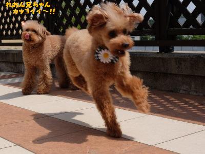 DSCF23341.jpg