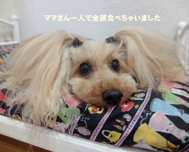 DSCF2349.jpg