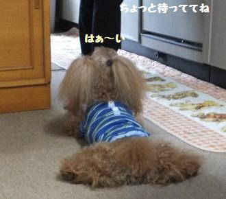 DSCF2357.JPG