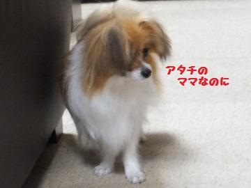 DSCF2358.JPG