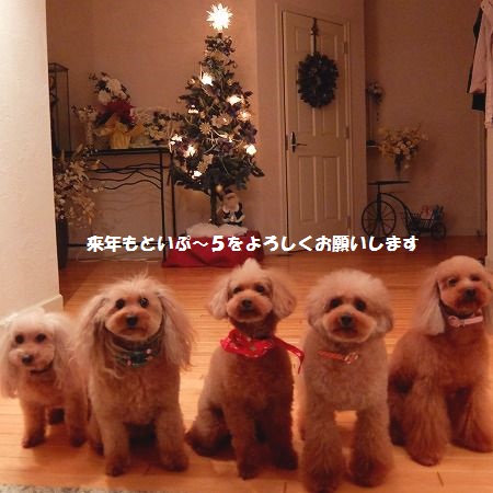 DSCF237511.jpg
