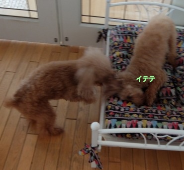 DSCF2376.jpg