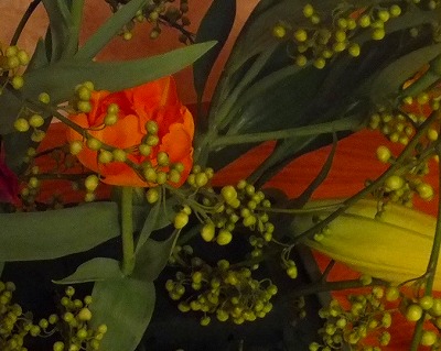 DSCF23771.jpg