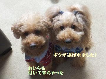 DSCF23781.jpg