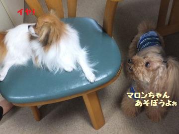 DSCF2396.JPG
