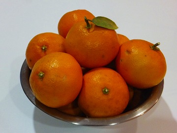 DSCF2502.jpg