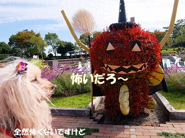 DSCF2529.jpg