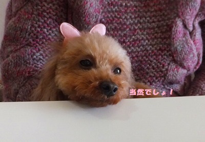 DSCF2546.jpg