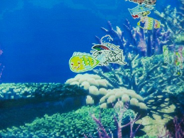 DSCF2573.jpg