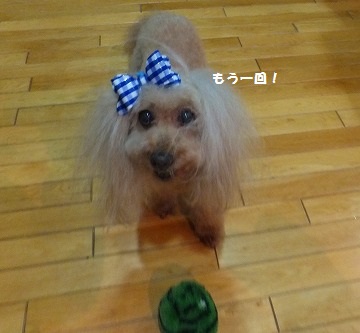 DSCF2576.jpg