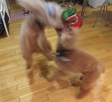DSCF2582.jpg