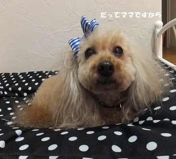 DSCF2598.jpg