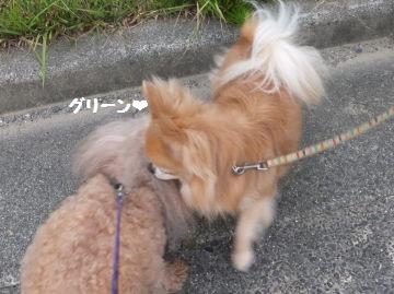 DSCF2650.JPG