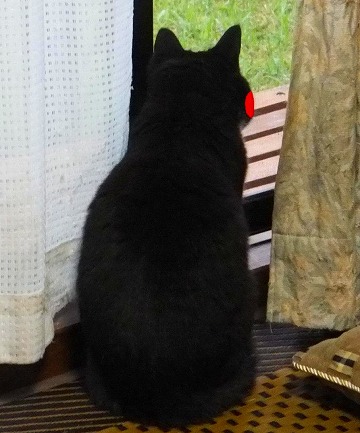 DSCF2650.jpg
