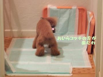 DSCF2694-b5906.jpg