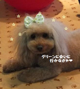 DSCF2757.JPG