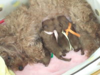 DSCF2758.JPG