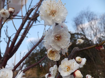 DSCF2886.jpg
