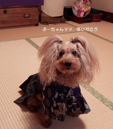 DSCF2938.jpg