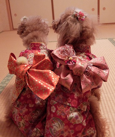 DSCF2952.jpg